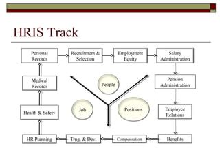 hris the medical city|Careers .